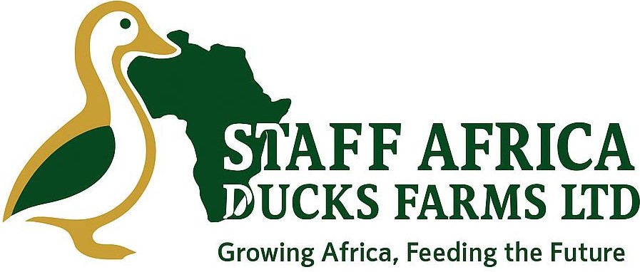 Staff Africa Ducks - Saby Infotech client